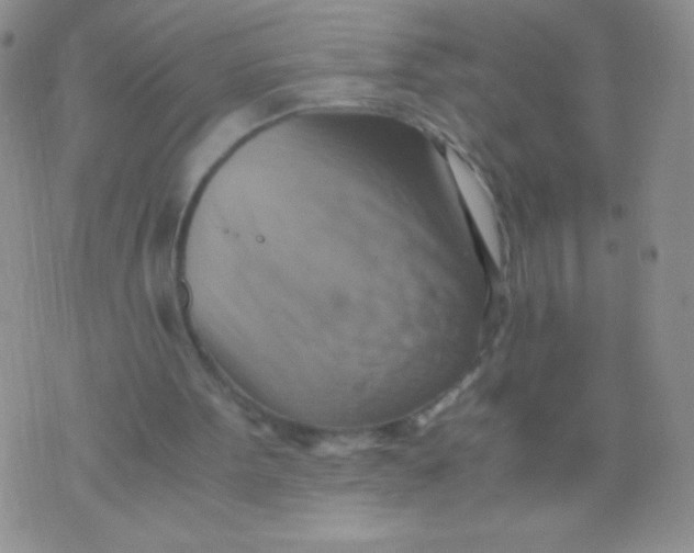 X0000075890099200610062103