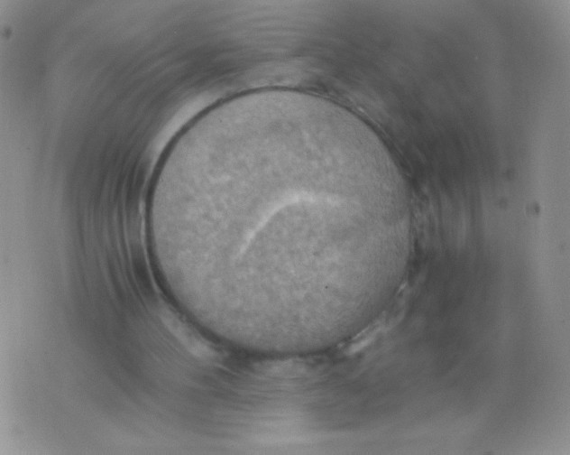 X0000075890100200610062103