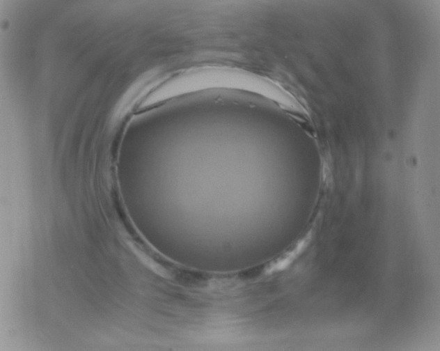 X0000075890101200610062103