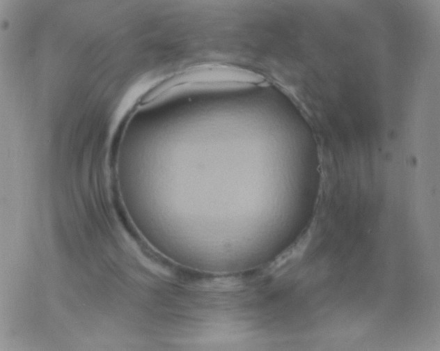 X0000075890102200610062103