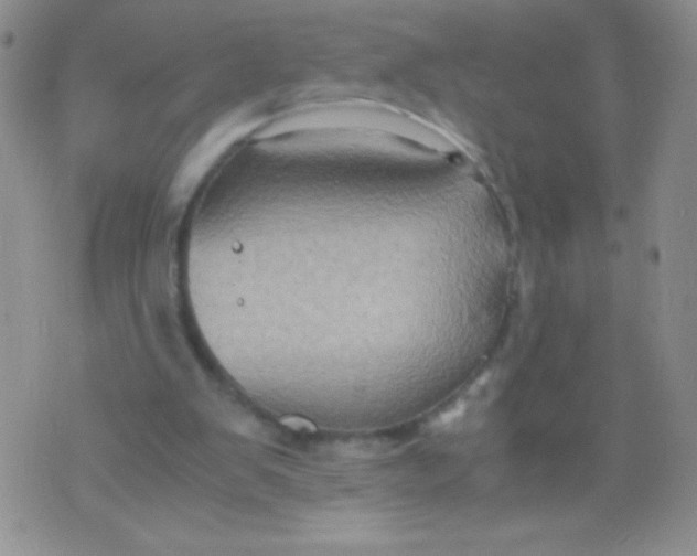 X0000075890103200610062103