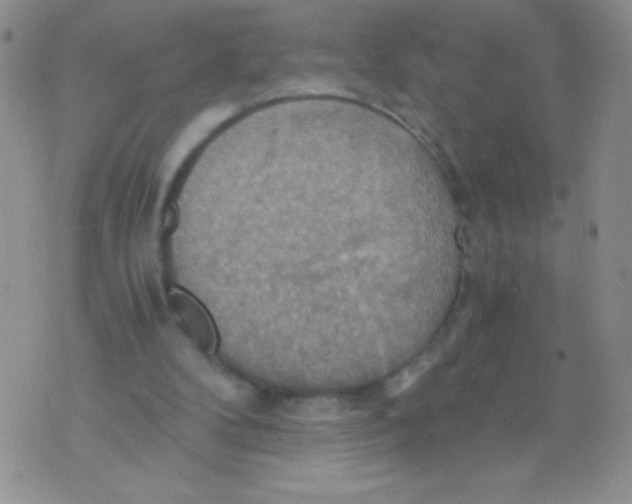 X0000075890104200610062103