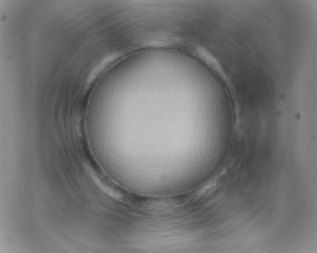 X0000075890106200610062103