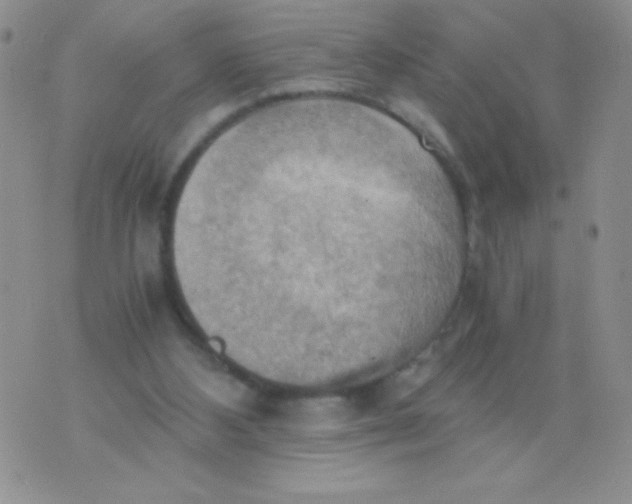 X0000075890108200610062103