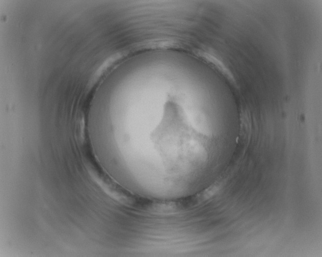 X0000075890110200610062103