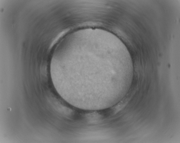 X0000075890112200610062102