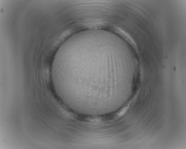 X0000075890113200610062102