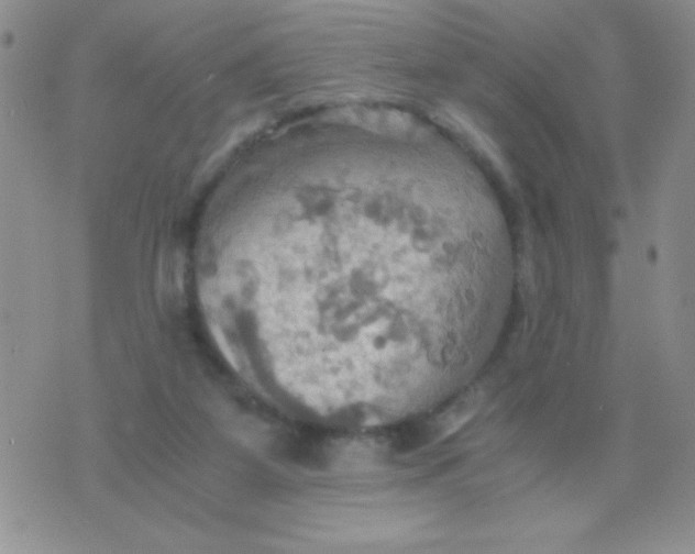 X0000075890115200610062102