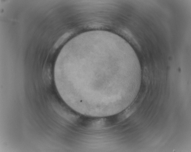 X0000075890116200610062102