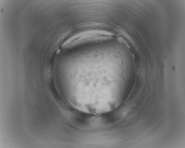 X0000075890119200610062102