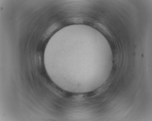 X0000075890120200610062102