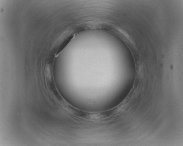 X0000075890121200610062102