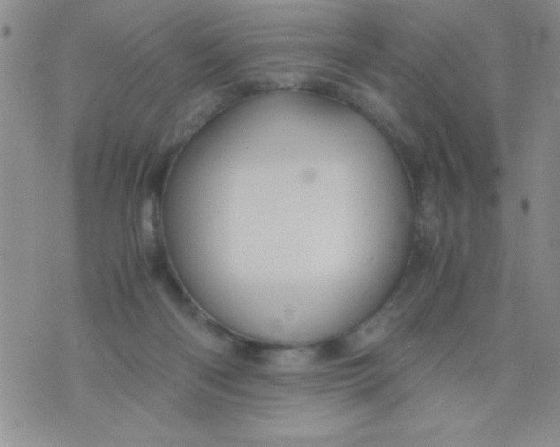 X0000075890122200610062102