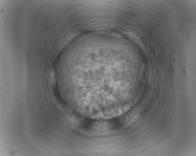 X0000075890123200610062102