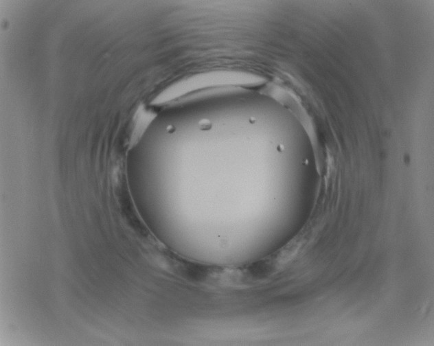 X0000075890125200610062102