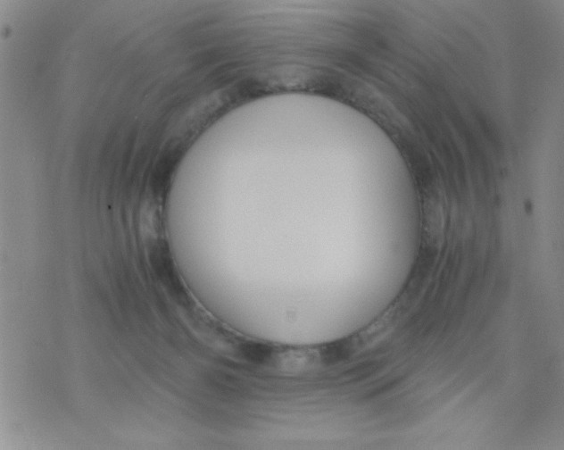 X0000075890126200610062102