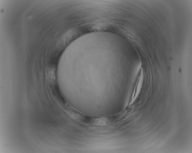 X0000075890127200610062102