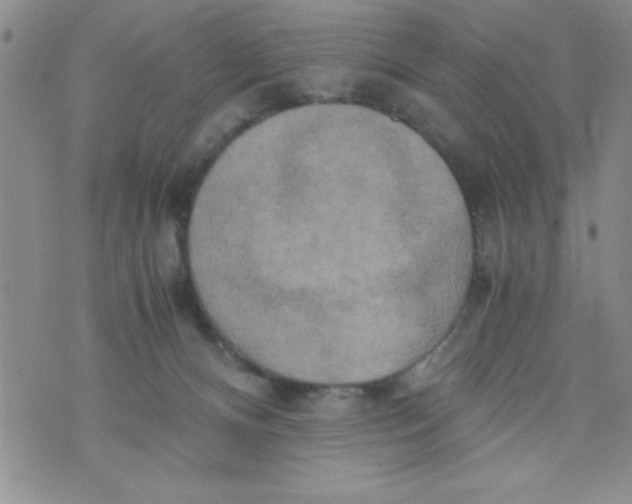 X0000075890128200610062102