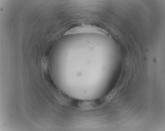 X0000075890129200610062102