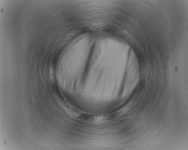 X0000075890130200610062102