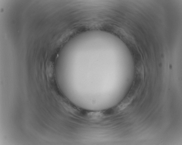 X0000075890133200610062102