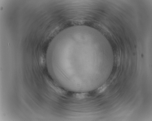 X0000075890134200610062102