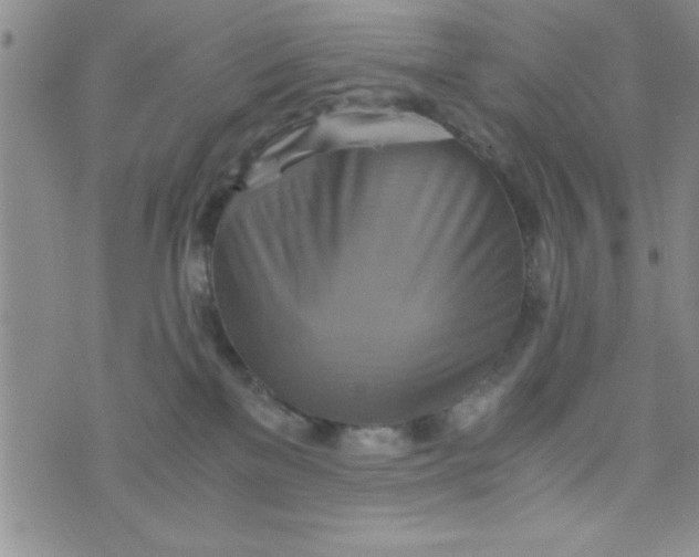 X0000075890137200610062102