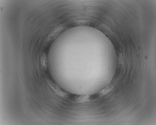 X0000075890138200610062102