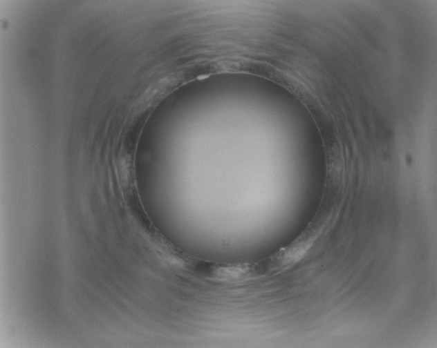 X0000075890139200610062102