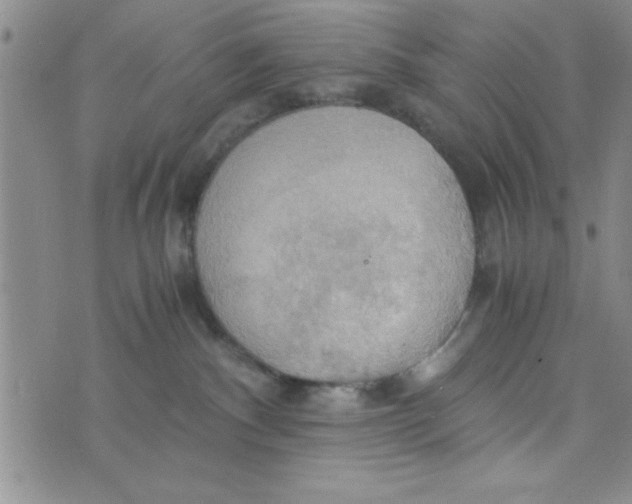 X0000075890140200610062102