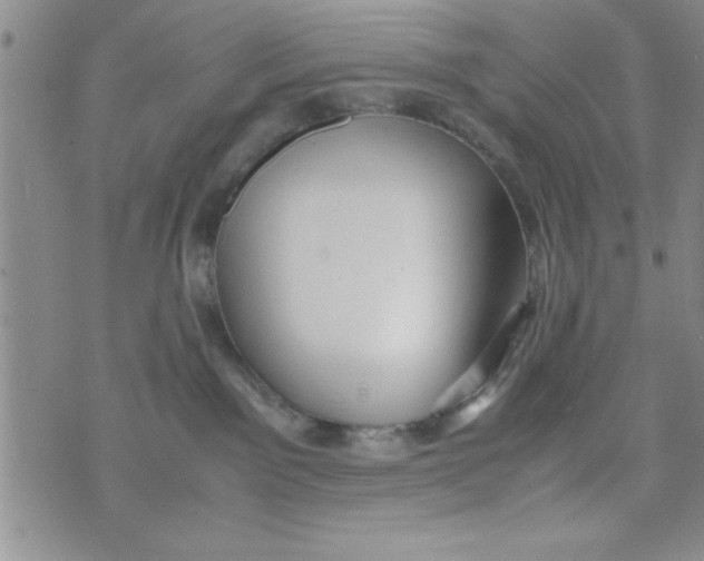 X0000075890141200610062102