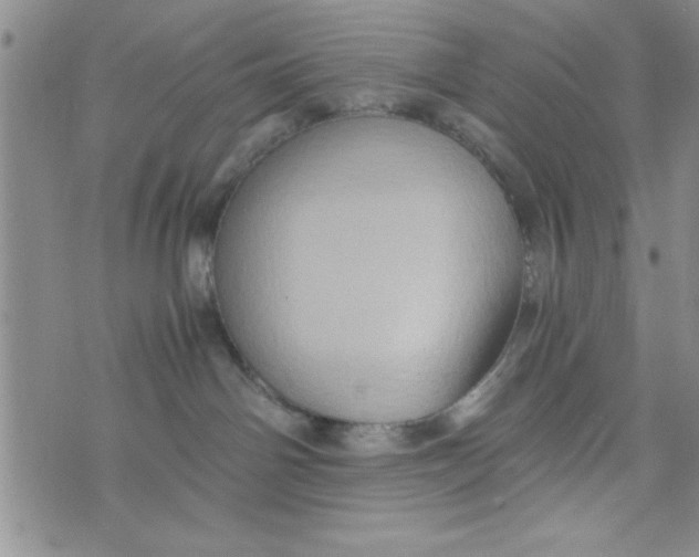 X0000075890142200610062102