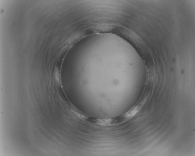 X0000075890143200610062102