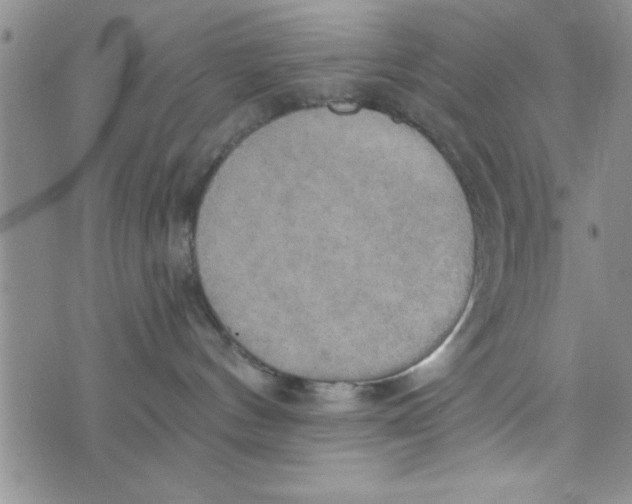 X0000075890144200610062102