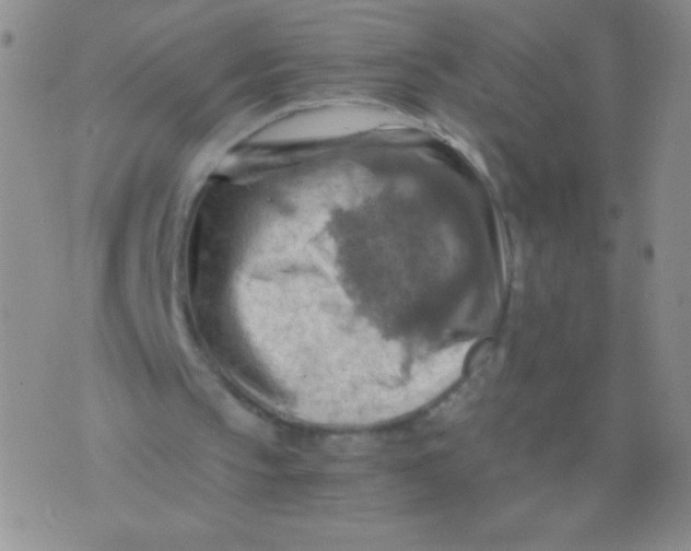 X0000075890145200610062101