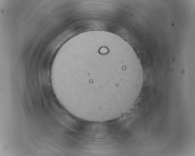 X0000075890146200610062101