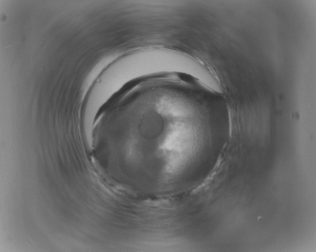 X0000075890147200610062101