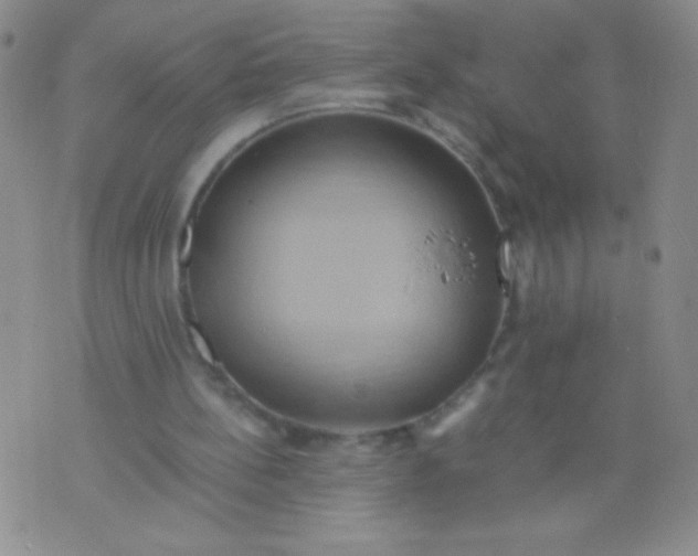 X0000075890148200610062101