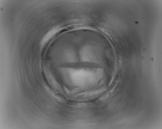 X0000075890149200610062101