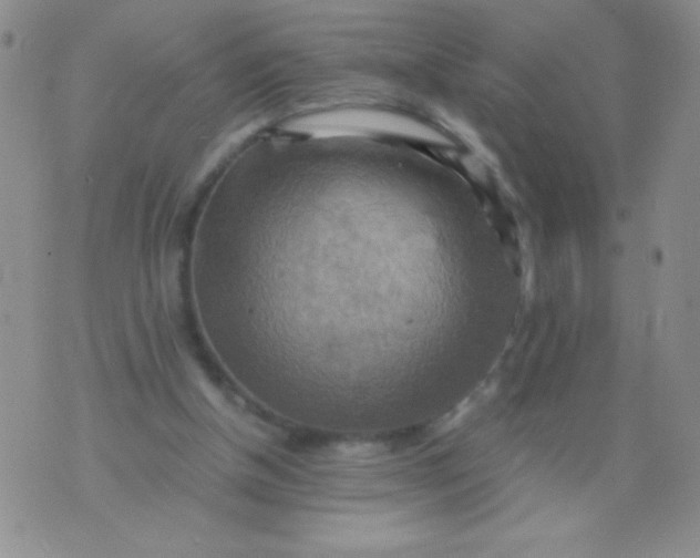 X0000075890154200610062101