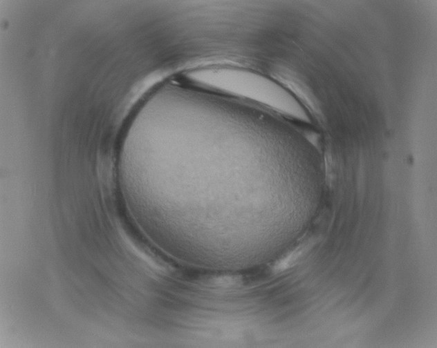 X0000075890156200610062101