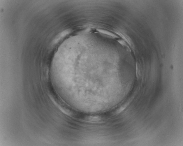 X0000075890157200610062101