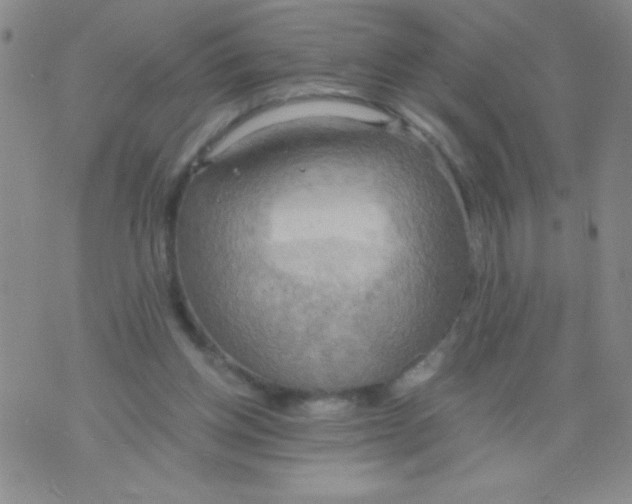 X0000075890158200610062101