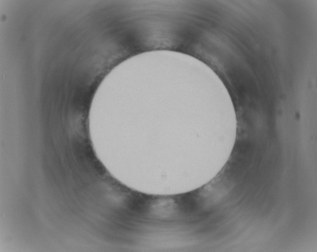 X0000075890162200610062101