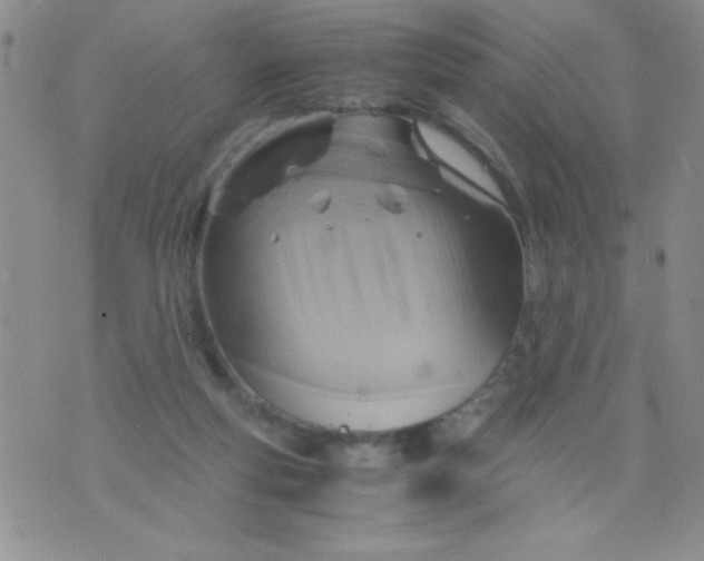 X0000075890163200610062101