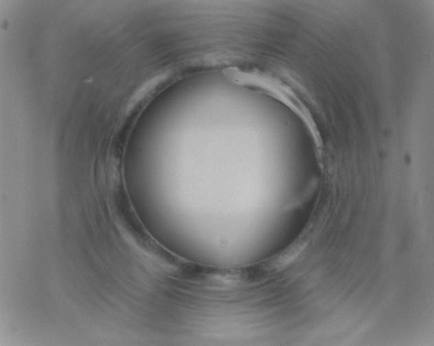 X0000075890164200610062101