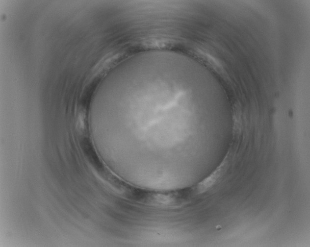 X0000075890166200610062102