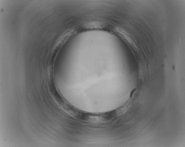 X0000075890167200610062102