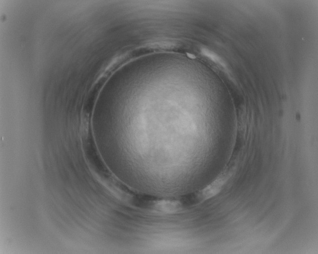 X0000075890168200610062102