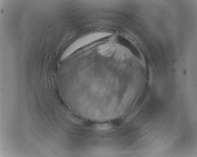 X0000075890169200610062102